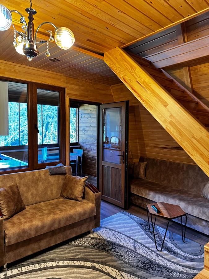Aparthotel Maneviga Cafe & Apart Uzungöl Zewnętrze zdjęcie
