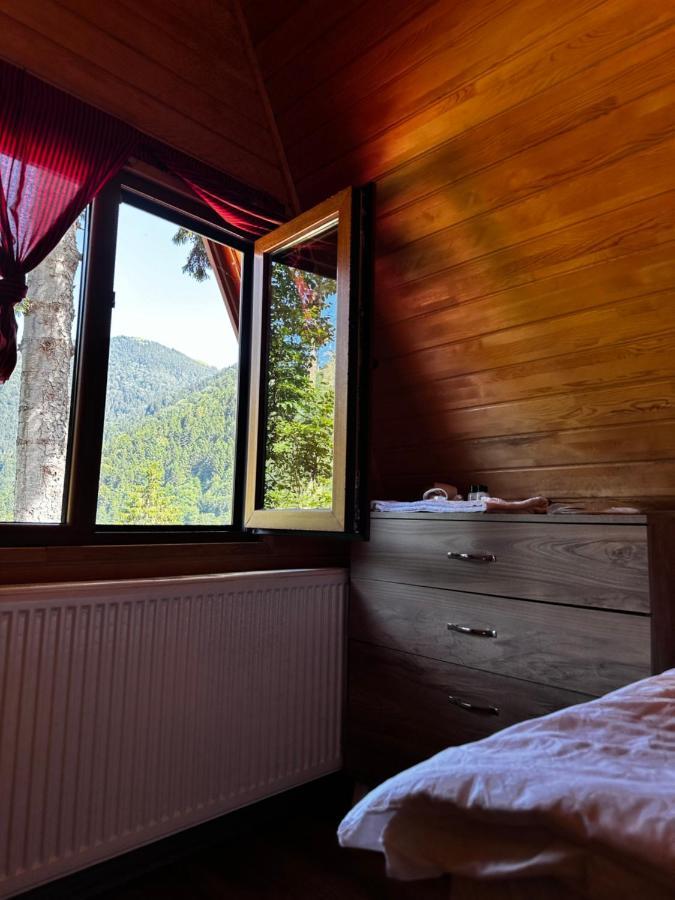 Aparthotel Maneviga Cafe & Apart Uzungöl Zewnętrze zdjęcie