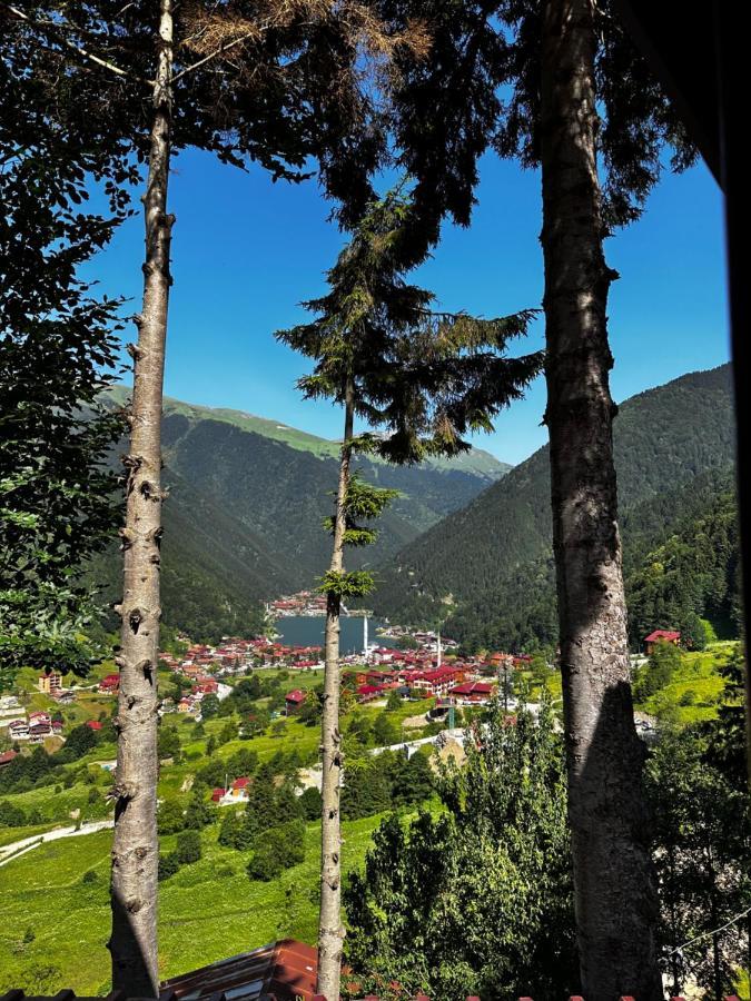 Aparthotel Maneviga Cafe & Apart Uzungöl Zewnętrze zdjęcie